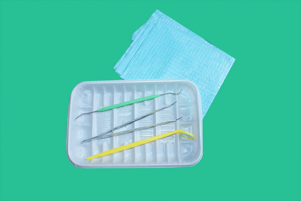 Disposable oral examination bag